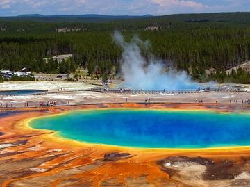 Vive y trabaja en el parque Yellowstone con este programa