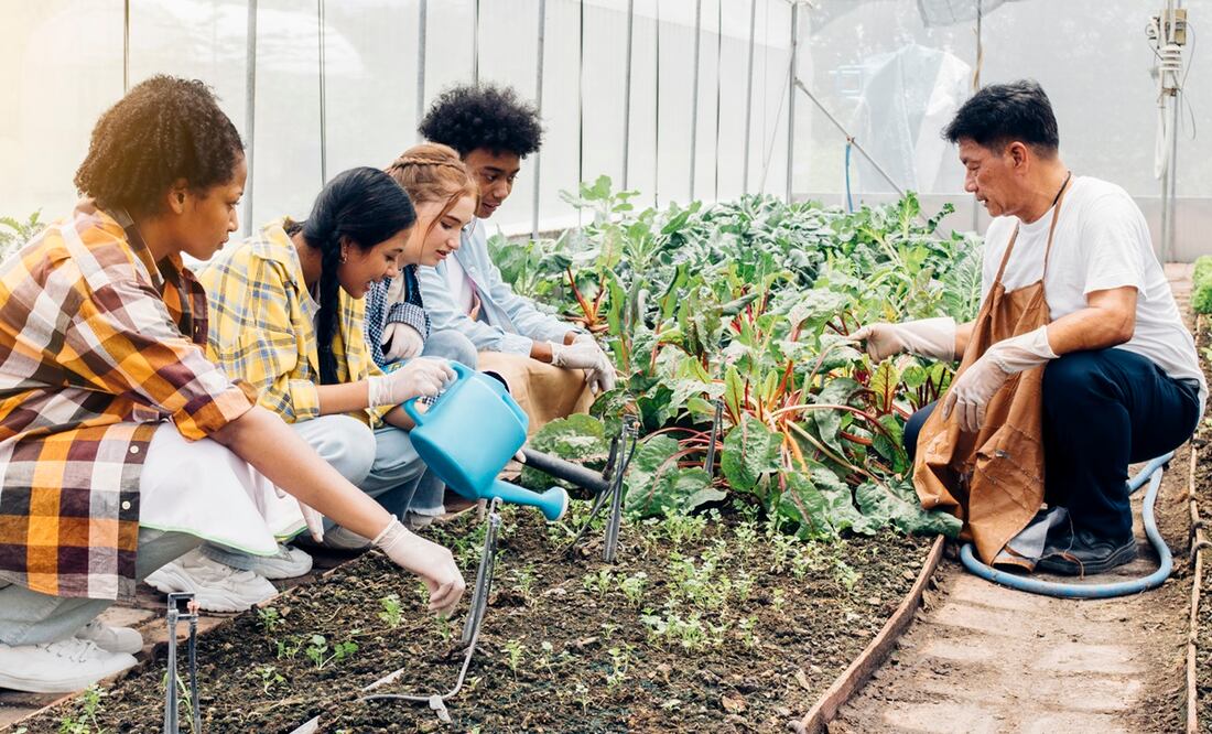 Los participantes de la pasantía en Disney World deberán tener disponibilidad de tiempo total. Foto: iStock