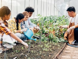 Disney World busca estudiantes para pasantía en horticultura de 6 meses en Florida