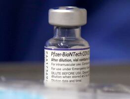 Pfizer pide autorización de vacuna contra nuevas variantes de Covid-19