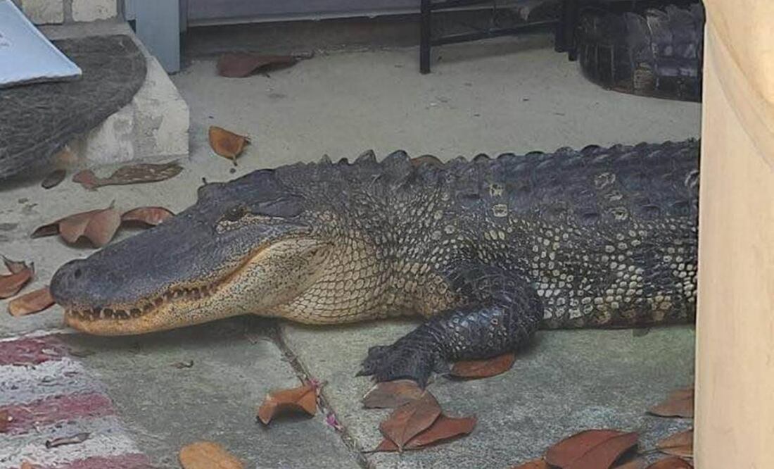 Foto: Twitter Mark Herman, Harris County Constable Precinct 4