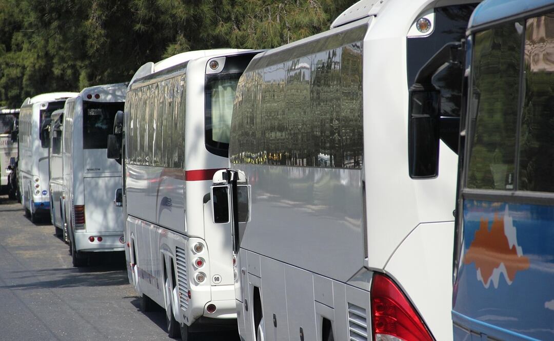 Autobuses. Pixabay/ Athena24