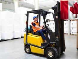 Empleo para mexicanos en Canadá: buscan aprendices para trabajo de carga