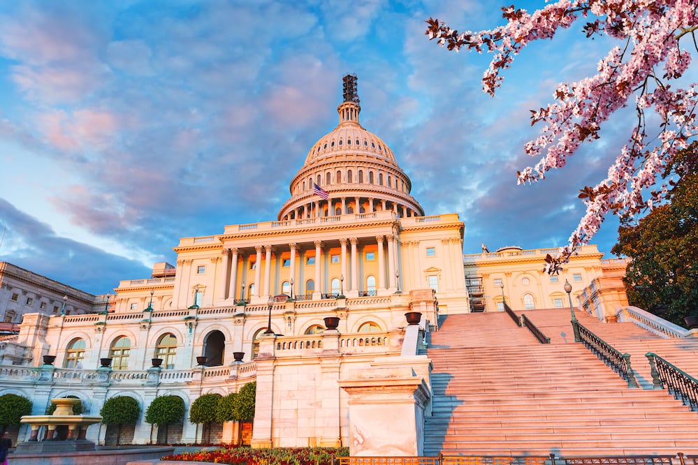 Washington DC. Foto: iStock/sborisov