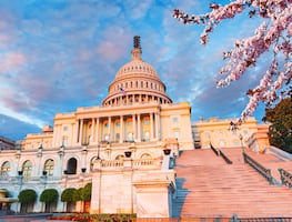 ¿Cuál es la mejor temporada para viajar a Washington D.C.? Clima, precios bajos y atracciones