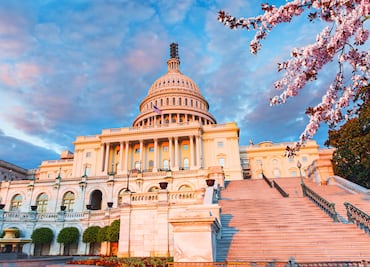 ¿Cuál es la mejor temporada para viajar a Washington D.C.? Clima, precios bajos y atracciones