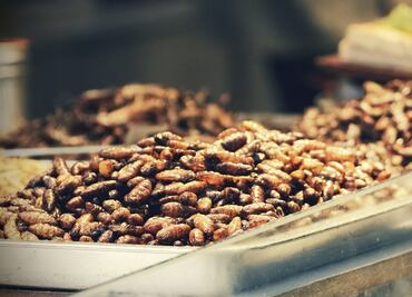 Gusanos de harina, la novedosa comida que llega a restaurantes europeos