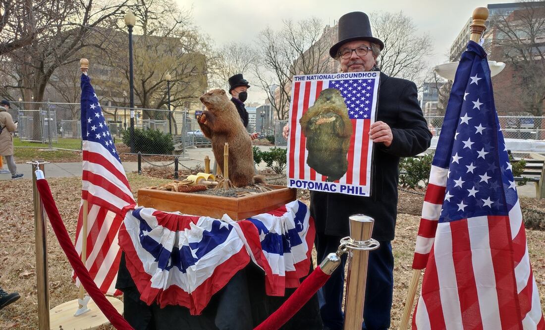 Día de la Marmota. ¿Qué es, cómo se originó y cuál es su importancia en Estados Unidos? Foto: EFE