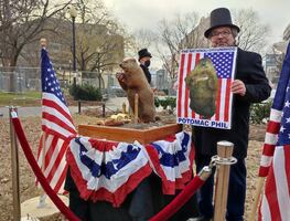 La marmota de Washington trae malos augurios para Biden