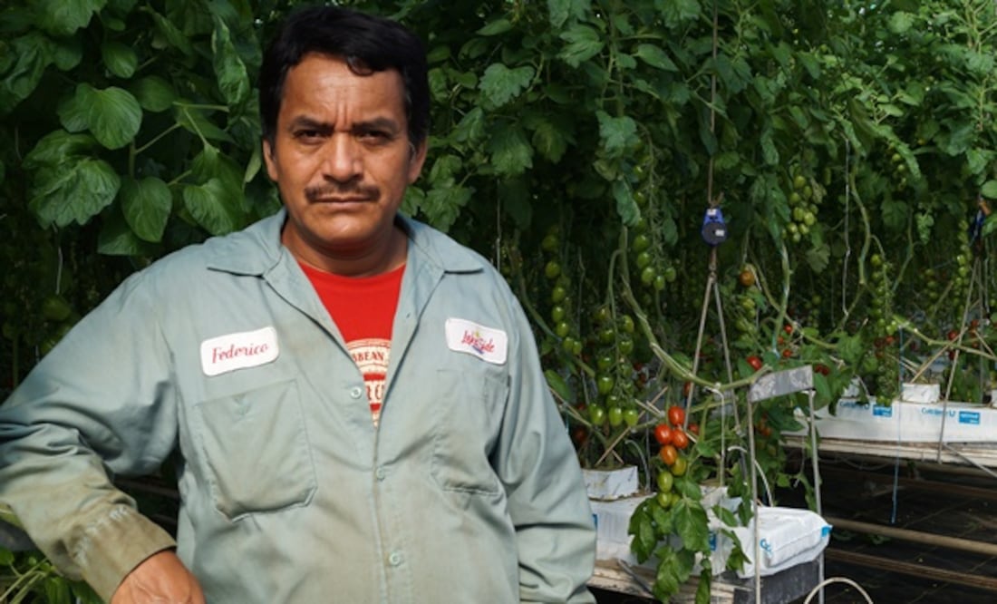 Katia Torres/ EL UNIVERSAL