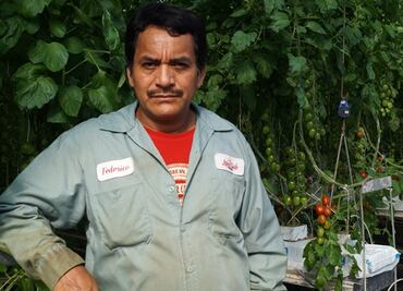 ¿Dónde registrarte al Programa de Trabajadores Agrícolas México-Canadá?