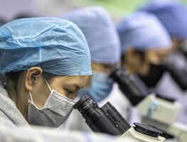 Omicron, nueva variante del Covid, altamente transmisible y preocupante: OMS