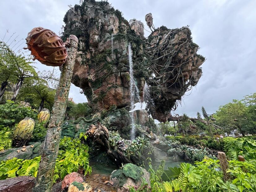 Walt Disney World Resort.