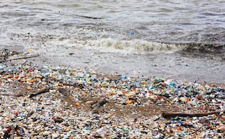 Varios lagos están más afectados por los plásticos que las peores zonas de los océanos