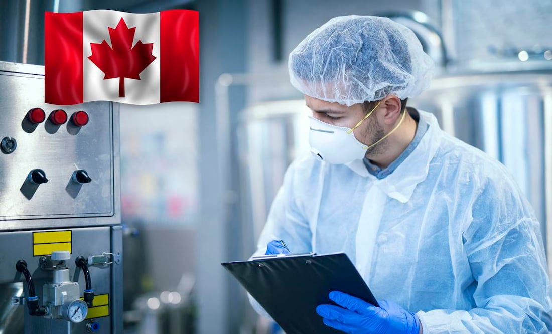 Foto: iStock/Smederevac