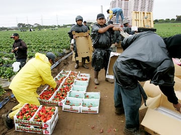 10 estados de EU donde contratan más migrantes para el campo