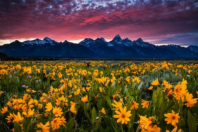 5 parques nacionales de Estados Unidos perfectos para visitar en primavera