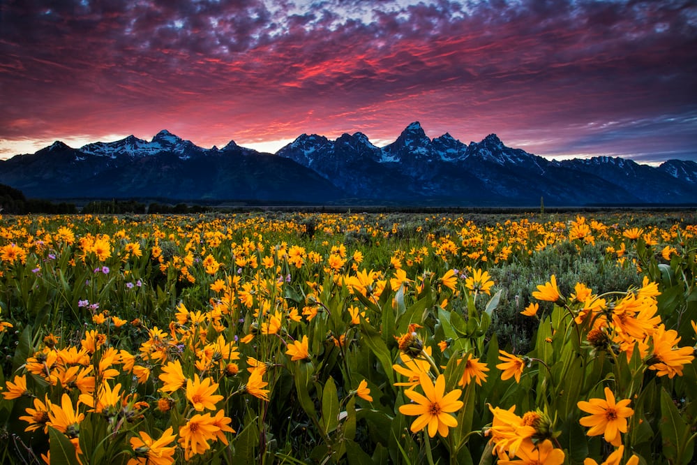 Springtime In The Mountains/ iStock/AndrewSoundarajan