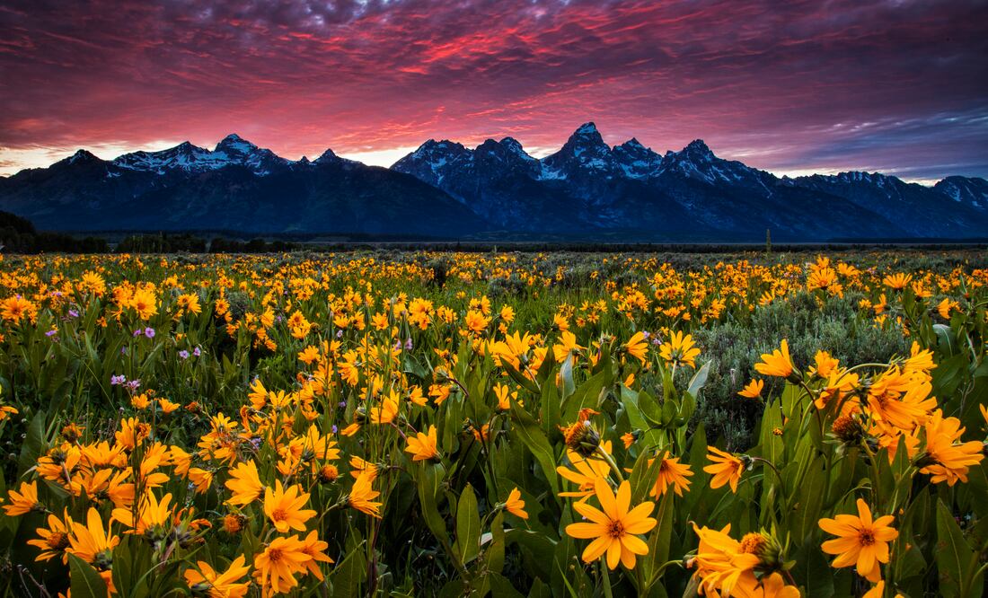 Springtime In The Mountains/ iStock/AndrewSoundarajan