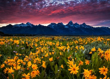 5 parques nacionales de Estados Unidos perfectos para visitar en primavera