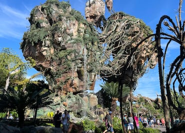 Guía completa para visitar Disney's Animal Kingdom: costo y mejores atracciones