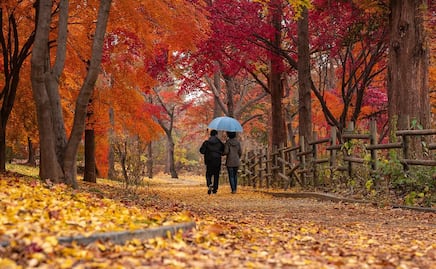 ¿Cuándo comienza el otoño 2022 y cuándo termina?