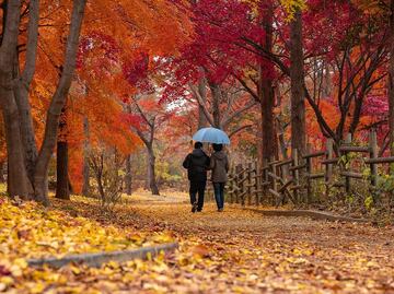 ¿Cuándo comienza el otoño 2022 y cuándo termina?