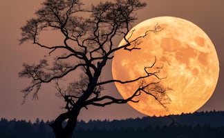 Revelan por qué la Luna tiene dos caras tan distintas: un impacto lo cambió todo