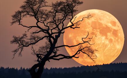 Revelan por qué la Luna tiene dos caras tan distintas: un impacto lo cambió todo