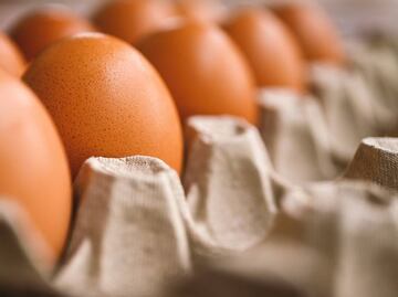 Prohíben a viajeros cruzar con huevos crudos desde México; esta es la multa