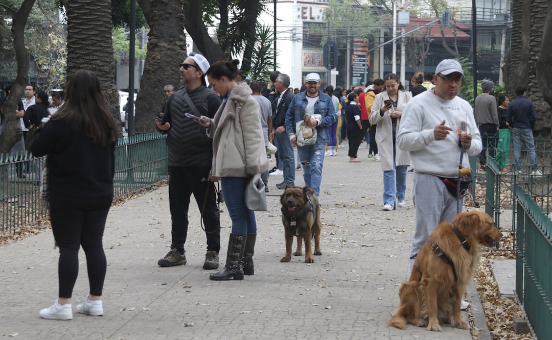 Tiembla otra vez en CDMX; Sismos de hoy de 3.2 y 2.4 con epicentro en Magdalena Contreras y Álvaro Obregón. Foto Carlos Mejía/ El Universal