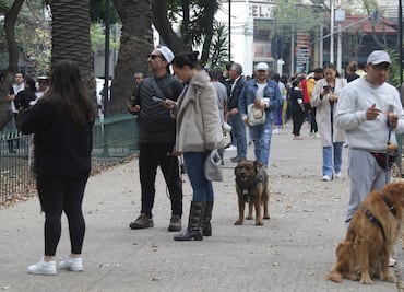 Tiembla otra vez en CDMX; Sismos de hoy de 3.2 y 2.4 con epicentro en Magdalena Contreras y Álvaro Obregón