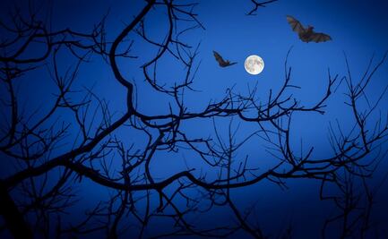 Lo que debes saber de la ‘Luna azul’ que habrá en Halloween
