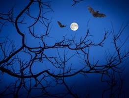 Lo que debes saber de la ‘Luna azul’ que habrá en Halloween