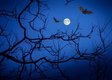 Lo que debes saber de la ‘Luna azul’ que habrá en Halloween