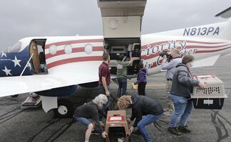 Prevén que Delta retome fuerza; impactaría en Luisiana como categoría 3