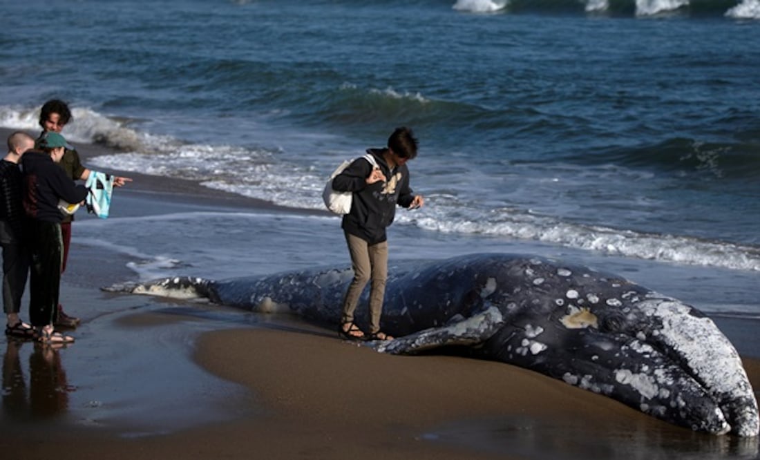 Reuters
