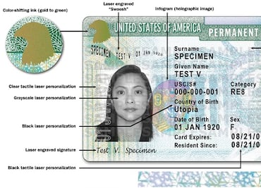 Siete categorías que te hacen elegible para una 'Green Card'