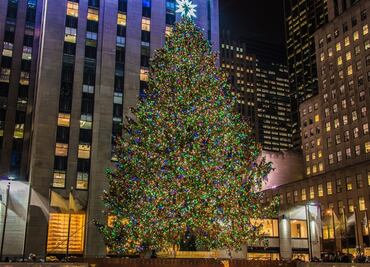 Eligen el árbol de Navidad que instalarán en el Rockefeller Center este 2020