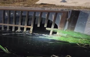 ¡Estaban bajo tierra! Rescatan a 19 migrantes mexicanos ocultos en un drenaje de California