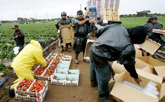 Estados Unidos extiende permisos laborales para migrantes y solicitantes de asilo