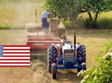 Empresas en EU que emplean a más trabajadores agrícolas con la visa H-2A