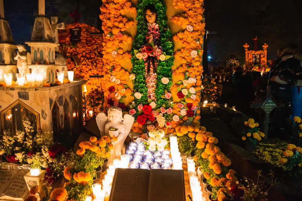 Aduanas de EU alerta sobre estas plantas procedentes de México prohibidas en Día de Muertos. Foto iStock / Eve Orea