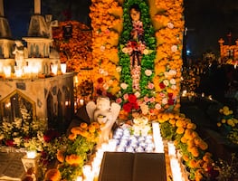 Aduanas de Estados Unidos alerta sobre estas plantas procedentes de México prohibidas en Día de Muertos