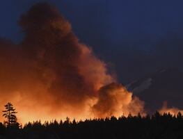 Incendio en California  provoca la evacuación de 8 mil personas