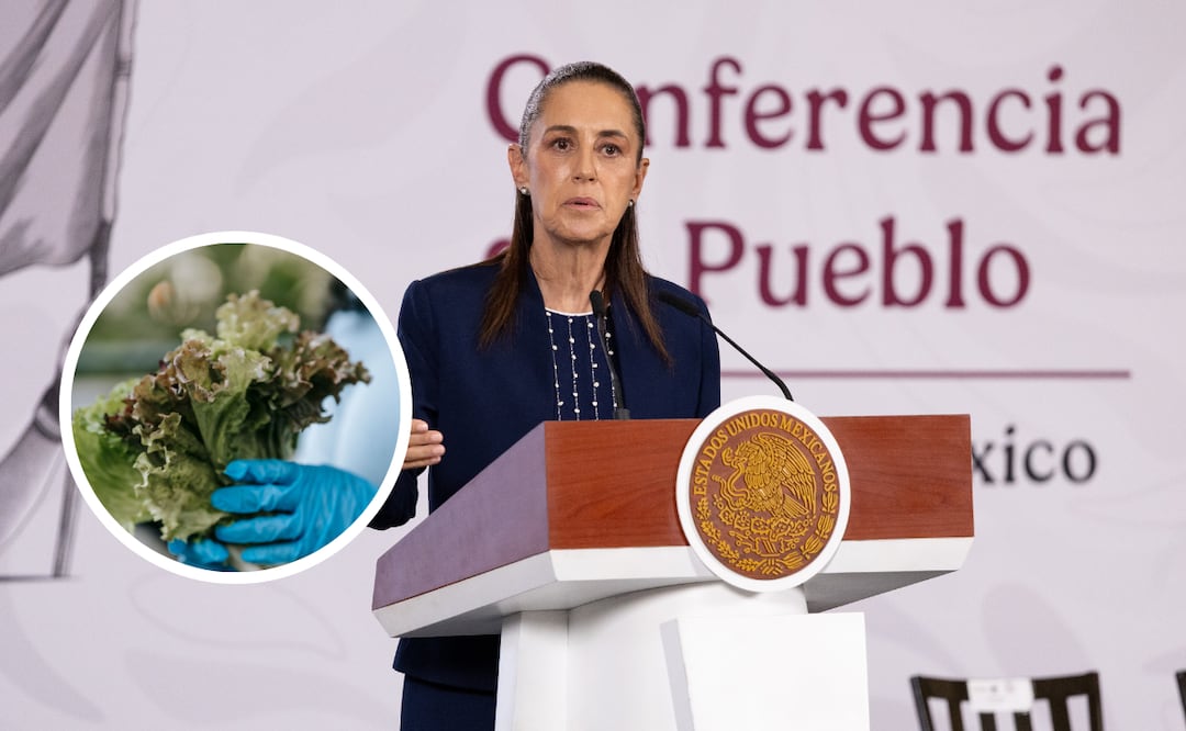 Sheinbaum responde al brote de ciclosporiasis en EU: investigan si productos mexicanos están implicados. Foto. Pexels y Hugo Salvador El Universal