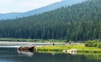 Tour para visitar Rocky Mountain National Park desde Denver: Itinerario y qué saber 
