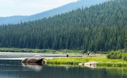 Tour para visitar Rocky Mountain National Park desde Denver: Itinerario y qué saber 