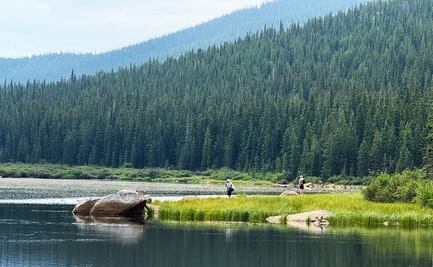 Tour para visitar Rocky Mountain National Park desde Denver: Itinerario y qué saber