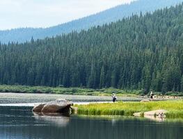 Tour para visitar Rocky Mountain National Park desde Denver: Itinerario y qué saber